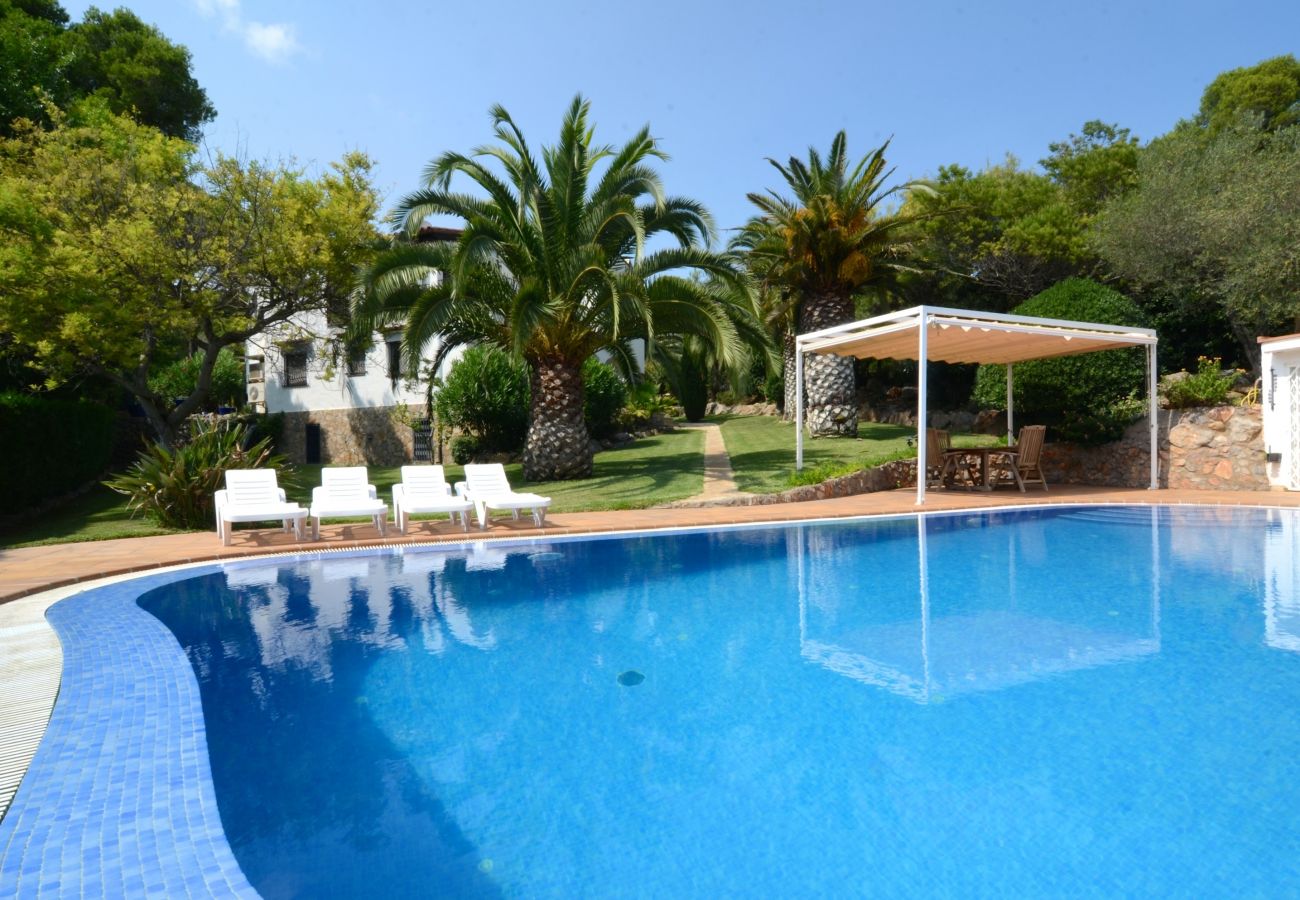 Apartamento en Estartit - APARTAMENTO VOLENDAM  PLANTA BAJA CON PISCINA PRIVADA