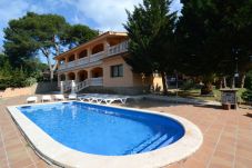 Apartament en L´Escala - MUSEU BAIXOS 4D