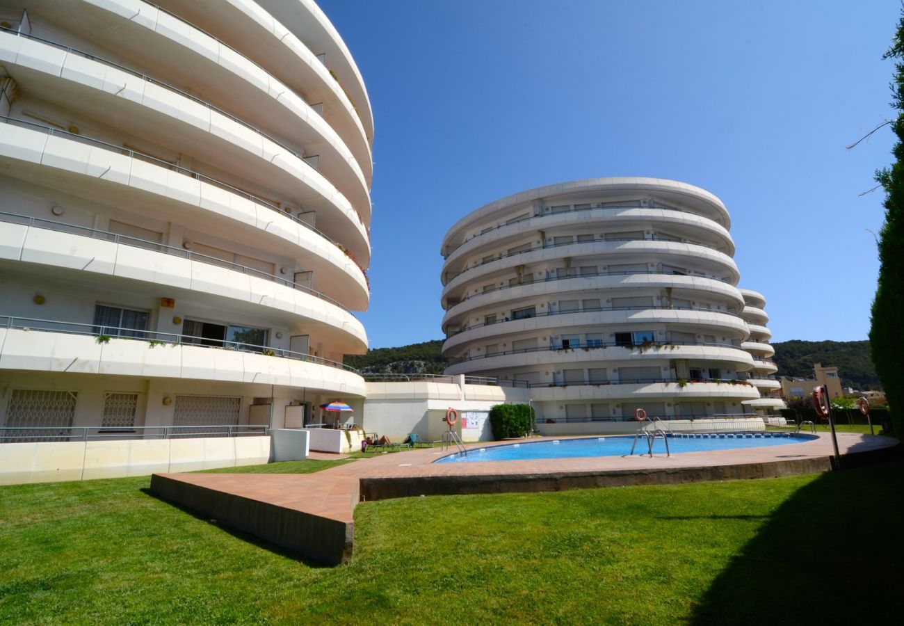 Estudi en Estartit - MEDES PARK I 5-1