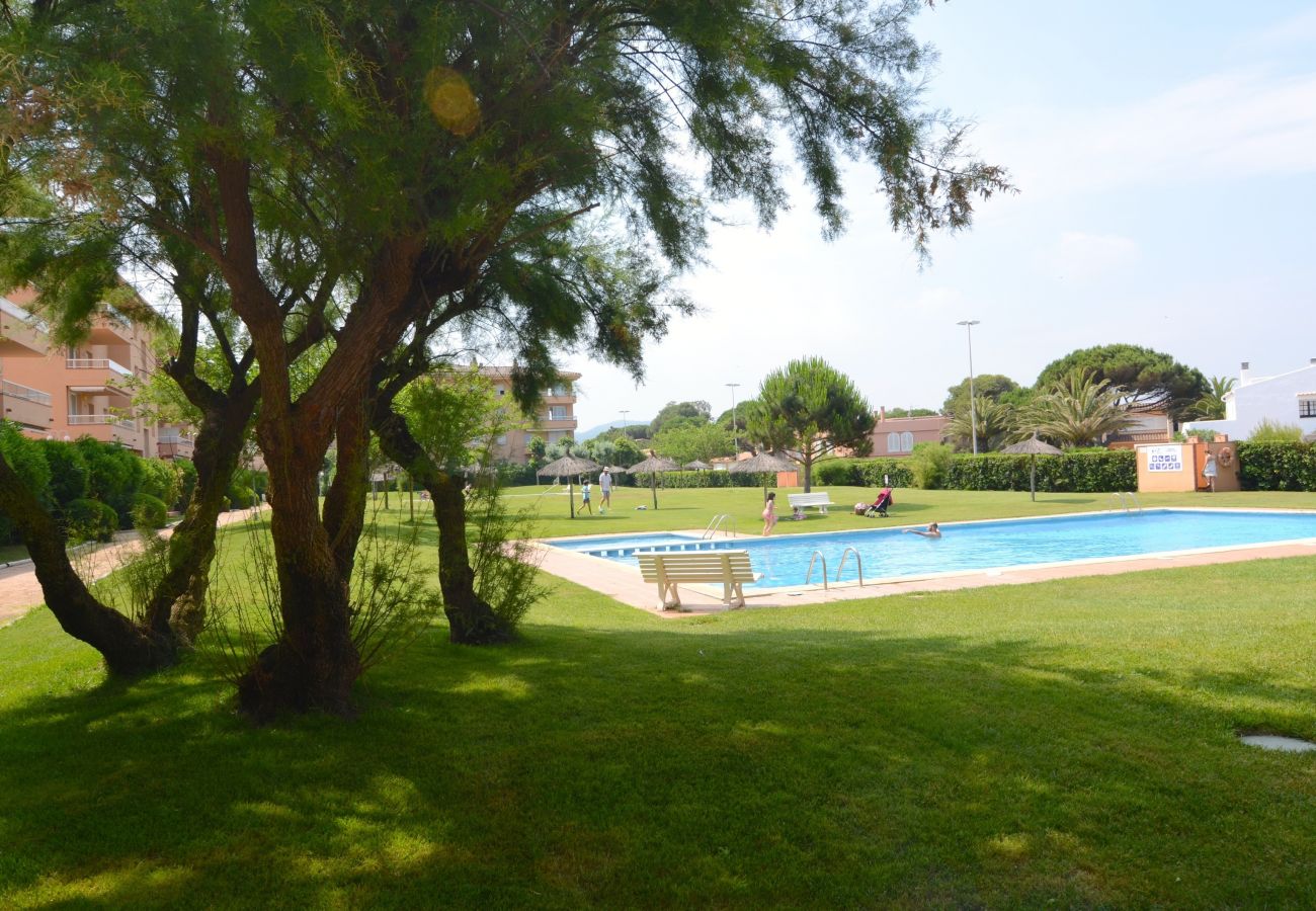 Apartament en Pals - GOLF MAR APARTAMENT  VISTA MAR