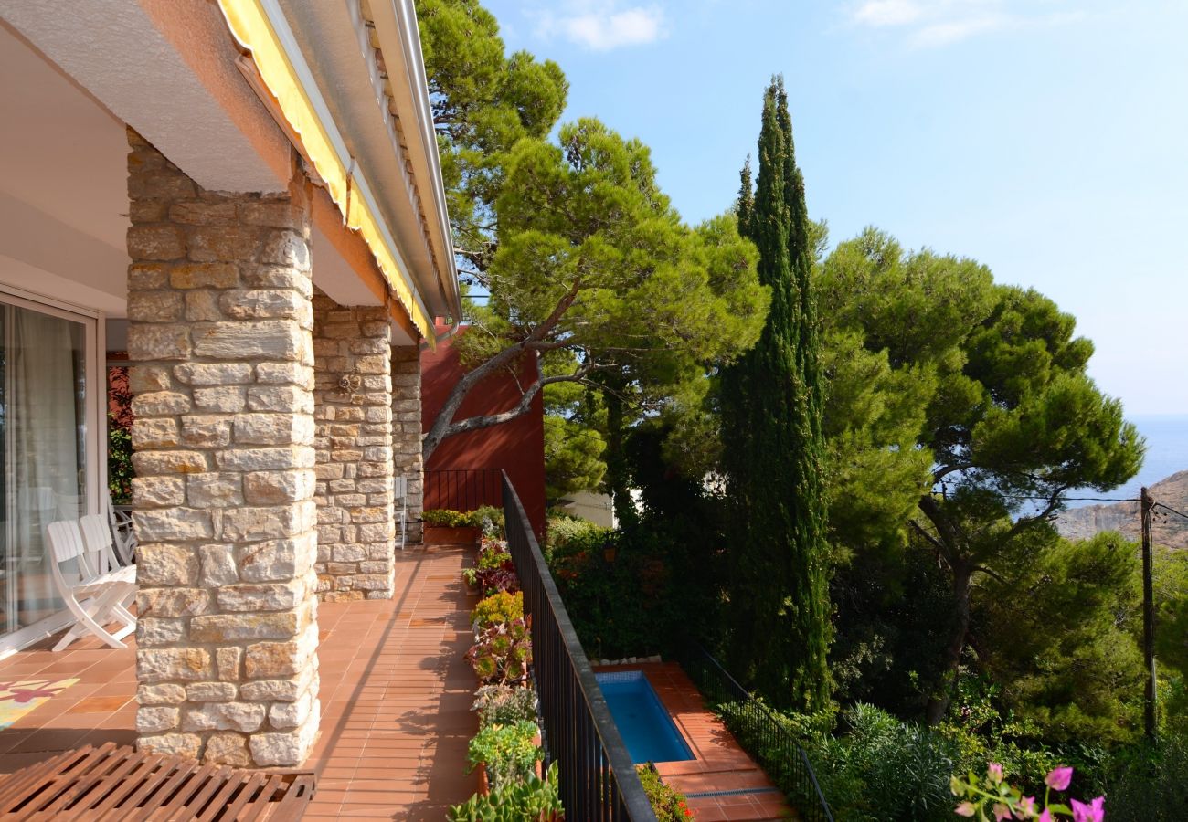 Vil.la en Begur - PIC DE L'OCELL