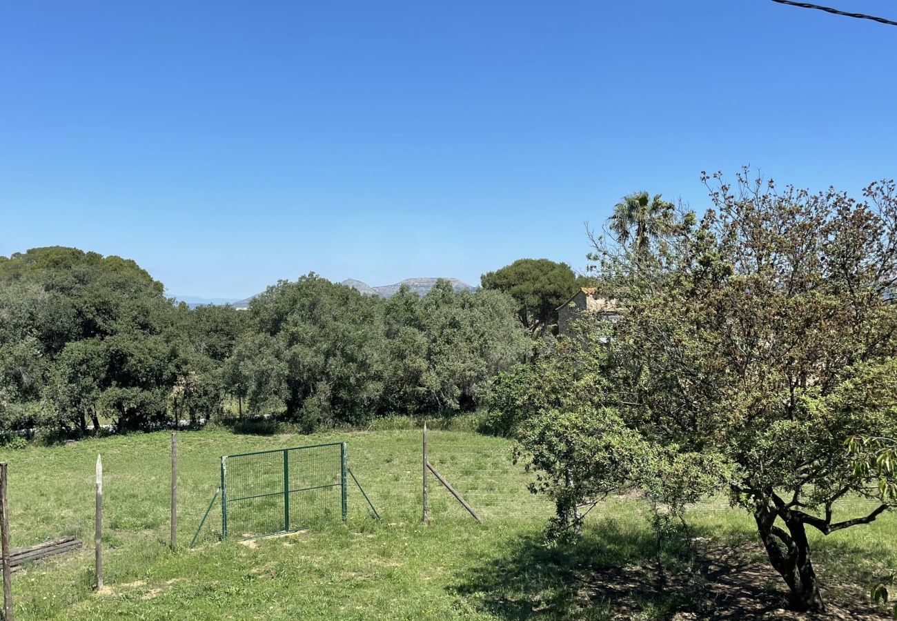 Ferienwohnung in Pals - MAS PIGEM B