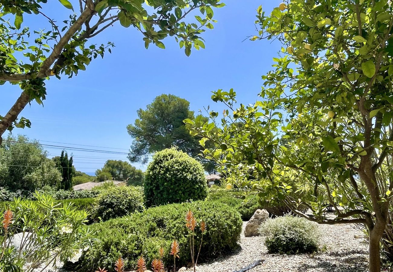 Ferienhaus in Estartit - CASA OSLO