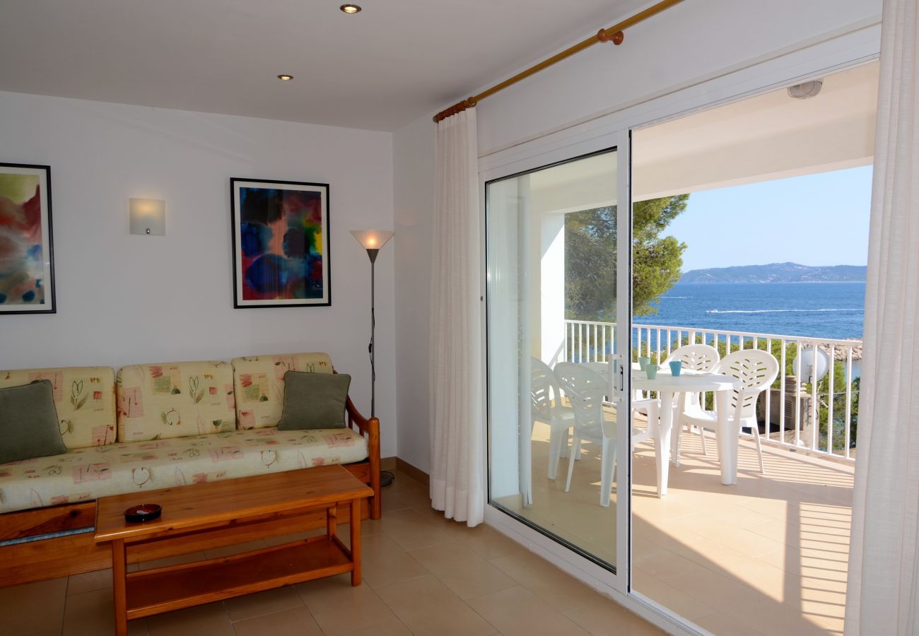 Appartement in Estartit - TREPUTXELL 2D (4/6)- 6