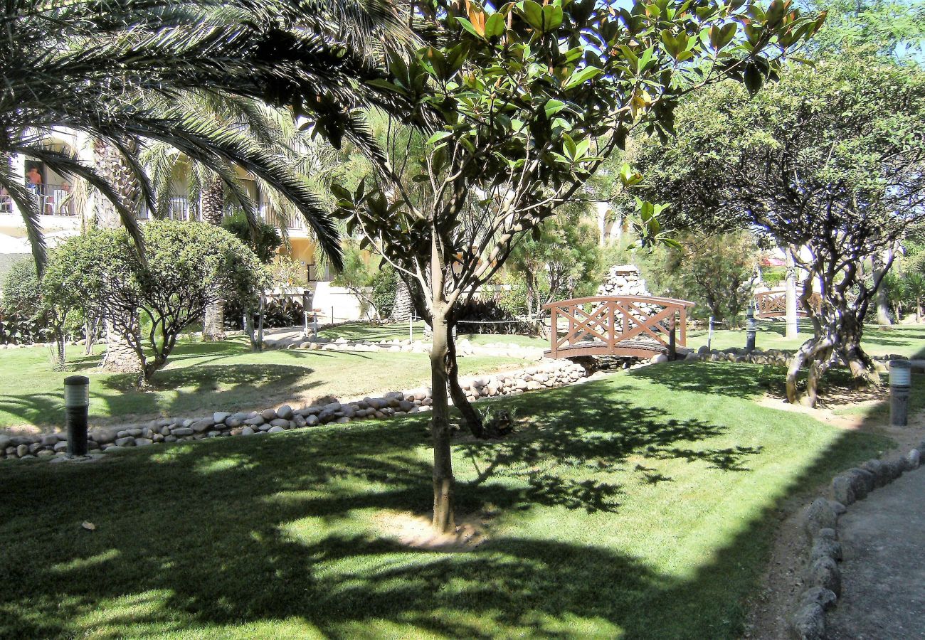 Appartement in Estartit - JARDINS DEL MAR 130