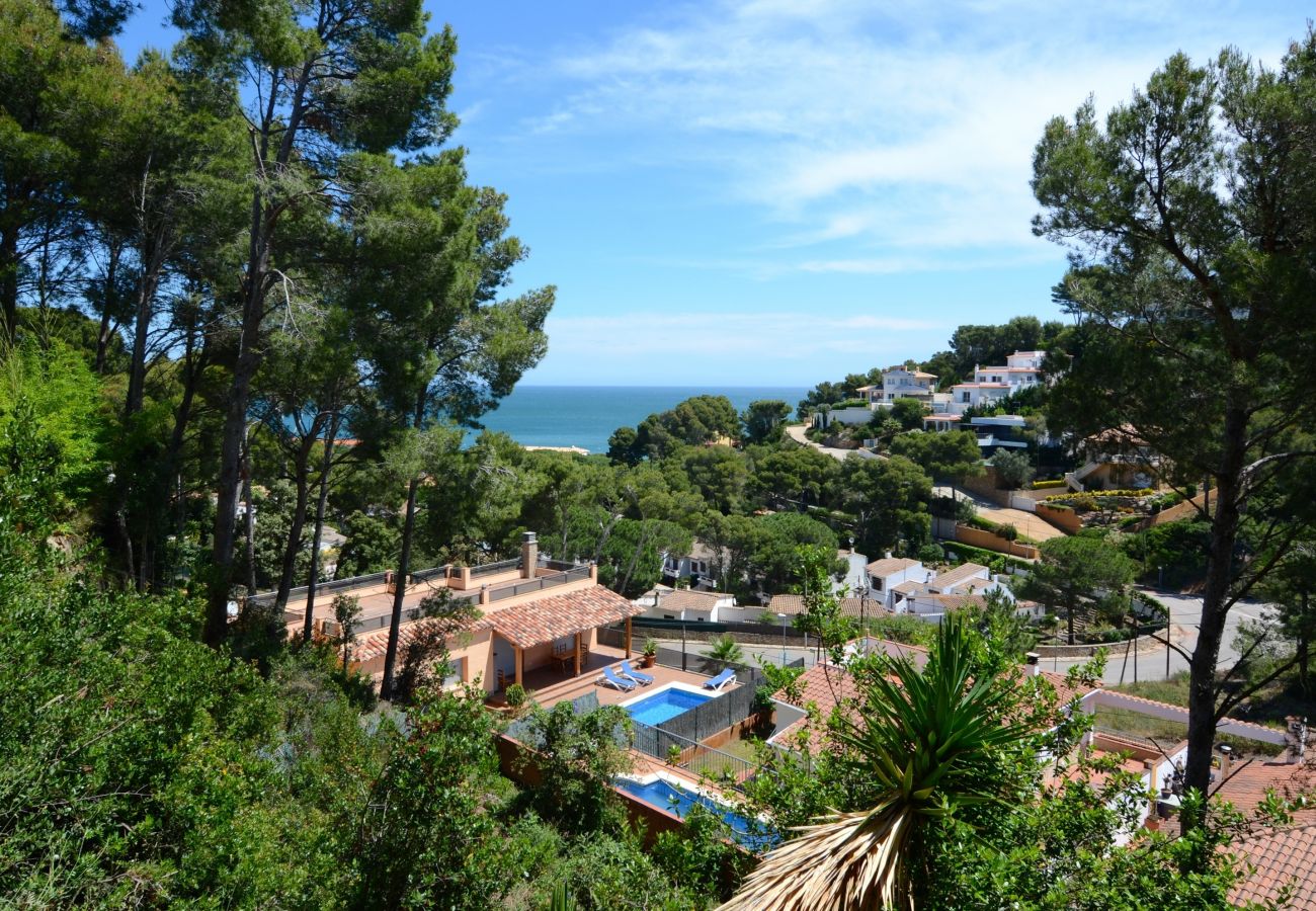 Huis in Pals - SA PUNTA 60