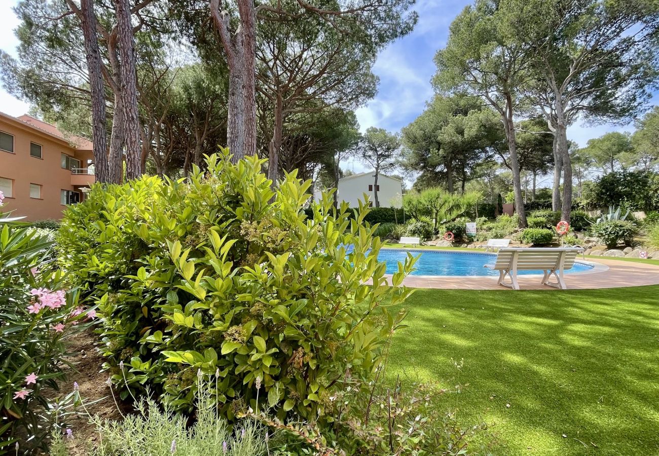 Appartement in Pals - PUIG SA GUILLA I C B2