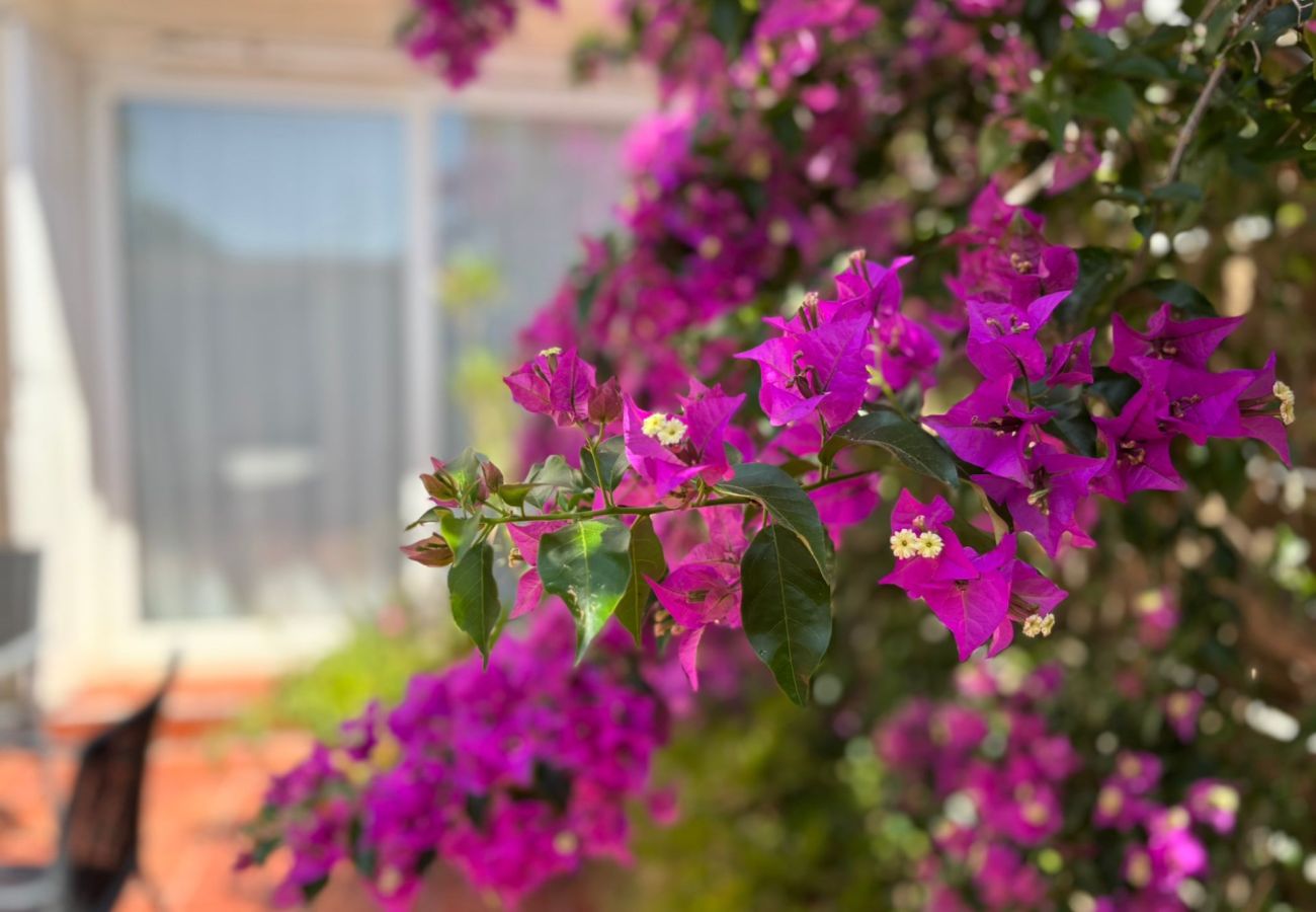 Terraced House in Torroella de Montgri - CASA EVA - MAS PINELL