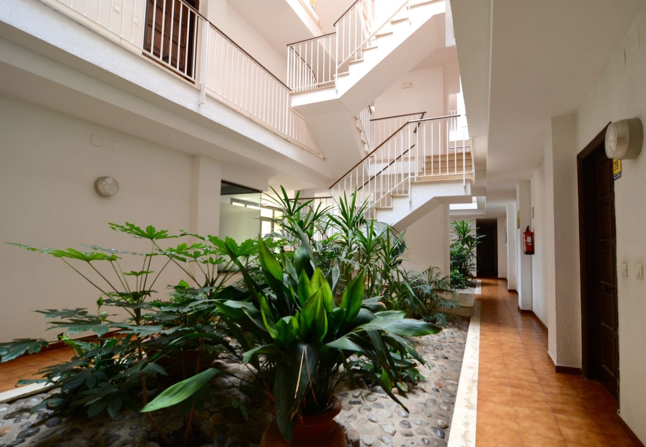 Appartement à Estartit - JARDINS DEL MAR 036