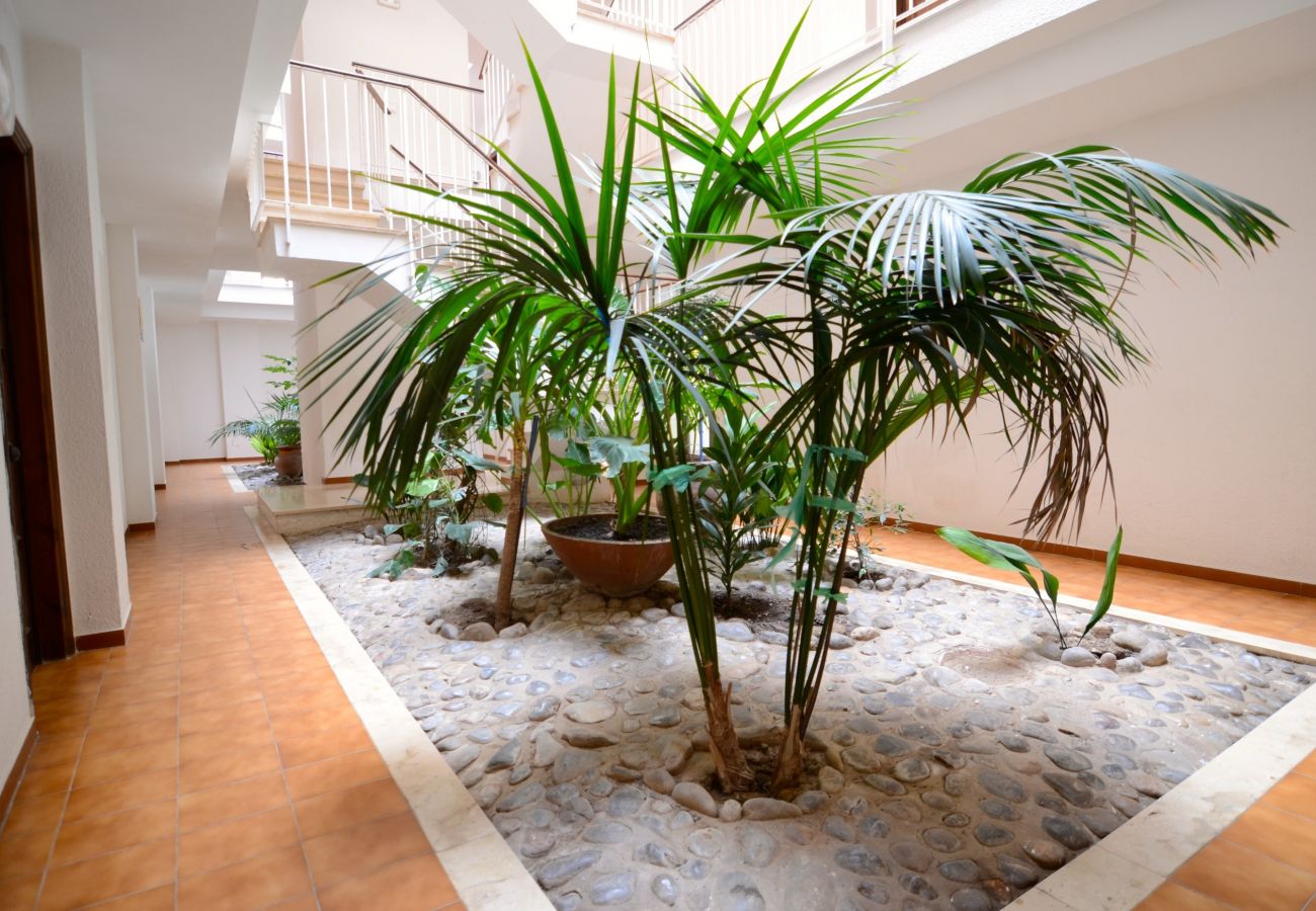 Appartement à Estartit - JARDINS DEL MAR 006