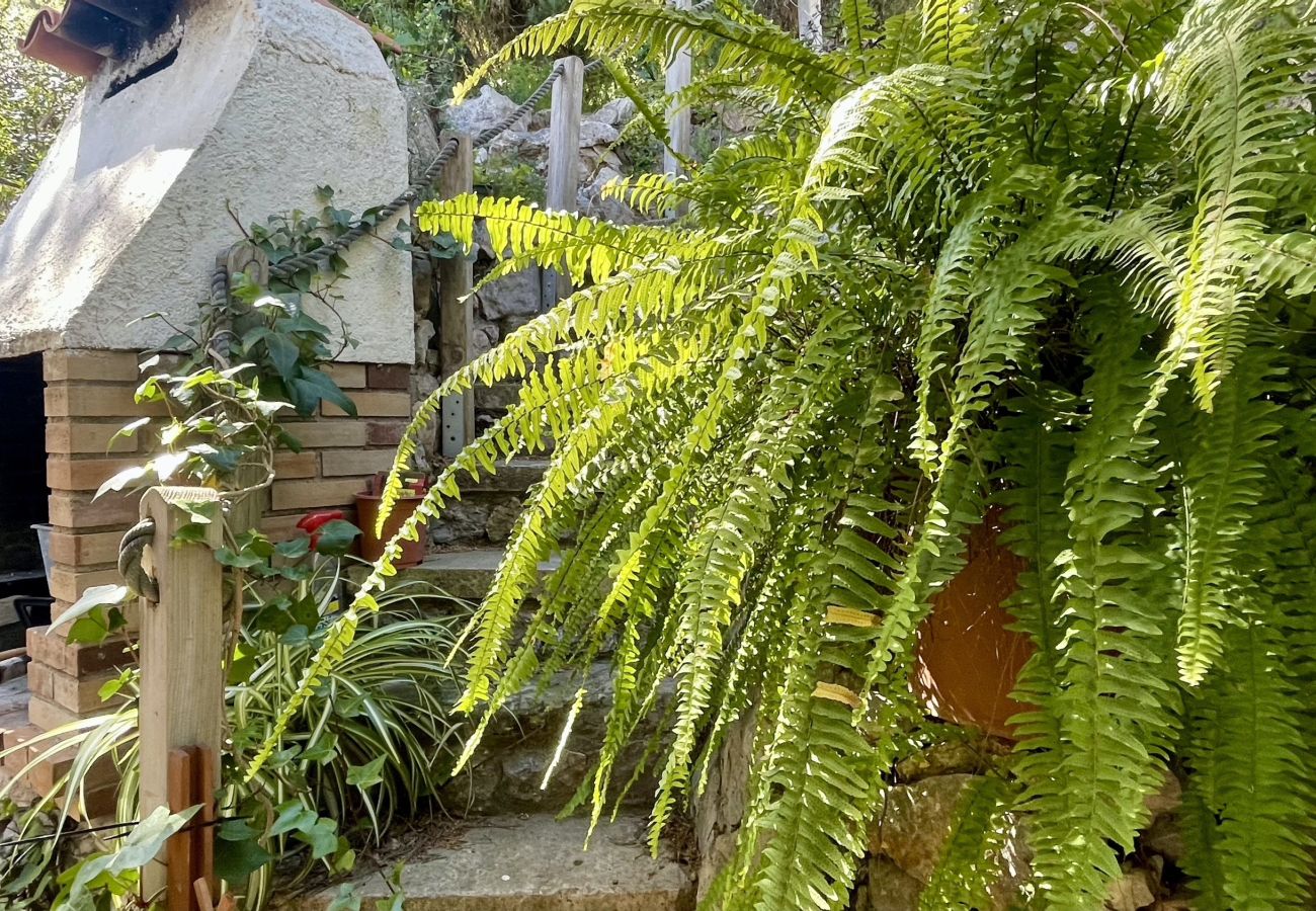 Maison à Estartit - LA MOLEDERA 112