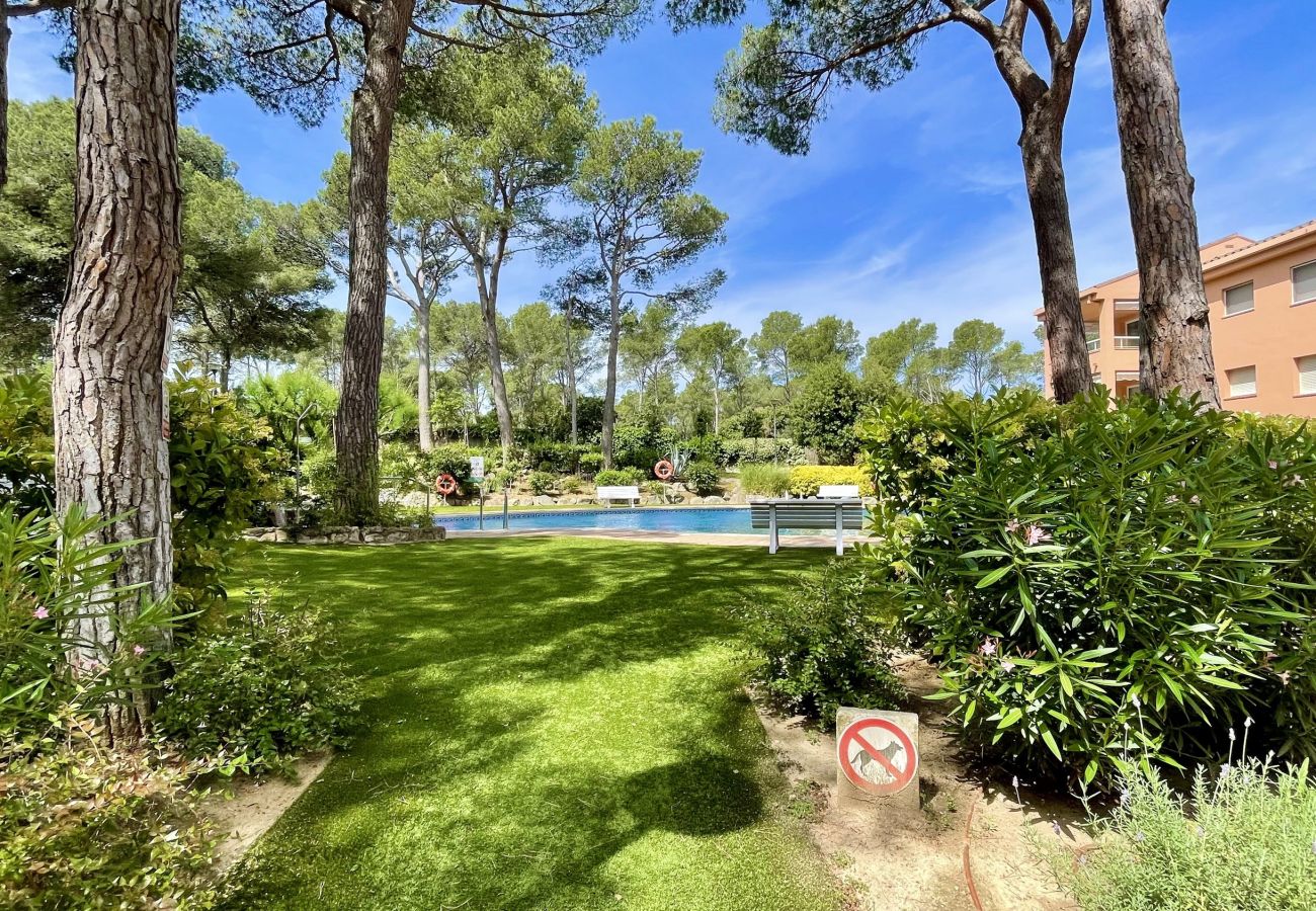 Appartement à Pals - PUIG SA GUILLA I C B2